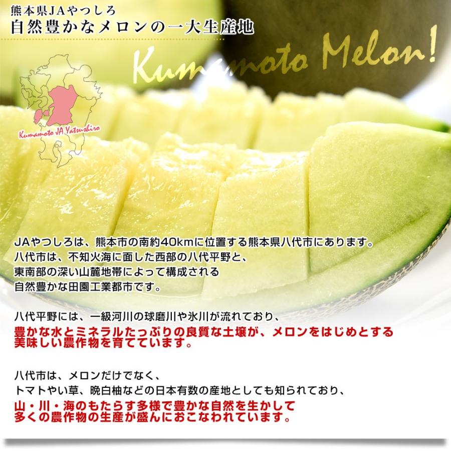 熊本県産 Jaやつしろ他 肥後グリーンメロン 優品以上 超盛り 8キロ 約2キロ 4玉 めろん 市場スポット 送料無料 1233 産直だより 通販 Yahoo ショッピング