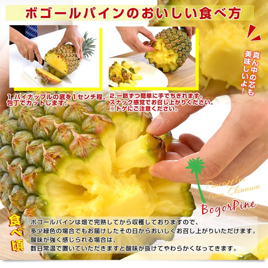 沖縄県より産地直送 JAおきなわ 沖縄県産 ボゴールパイン 2玉セット