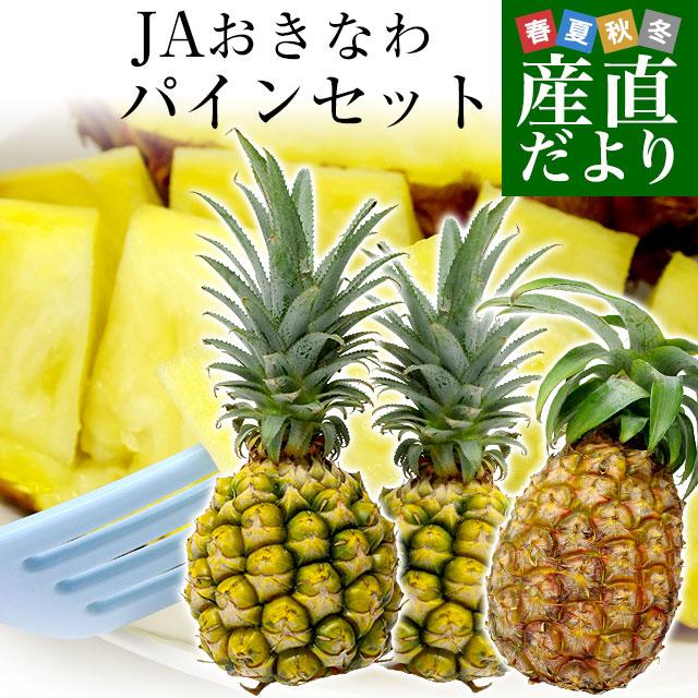 沖縄県より産地直送 Jaおきなわ 石垣島産 沖縄パインセット ピーチ1玉