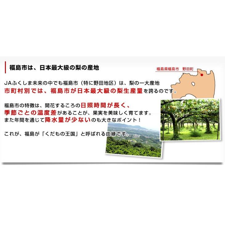 福島県より産地直送 JAふくしま未来の梨 （あきづき）約3キロ（6玉から10玉） 送料無料 なし 梨 ナシ｜sanchokudayori｜05