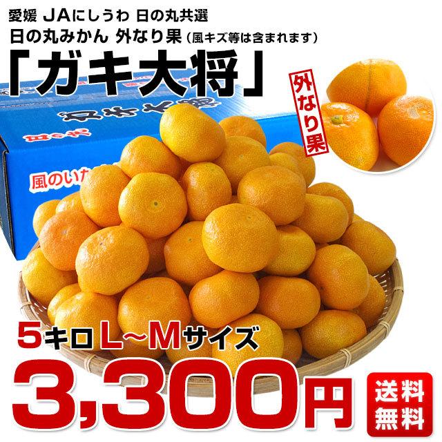 愛媛県より産地直送 JAにしうわ 日の丸みかん ガキ大将 LからMサイズ 5キロ(40玉から50玉) 送料無料   蜜柑 ミカン｜sanchokudayori｜02