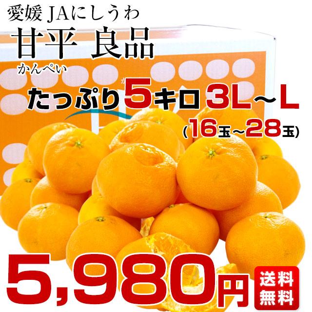 愛媛県より産地直送 JAにしうわ 甘平 (かんぺい) 良品 3LからLサイズ 5キロ (16玉から28玉) 送料無料カンペイ 西宇和｜sanchokudayori｜03