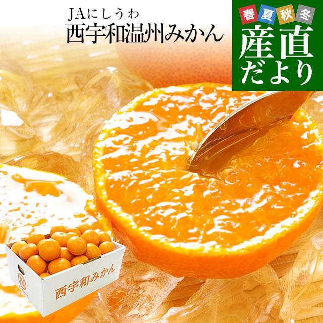 愛媛県より産地直送 Jaにしうわ 西宇和温州みかん 極旨小玉 3キロ 36玉から48玉 送料無料 蜜柑 ミカン ギフト 産直だより 通販 Yahoo ショッピング