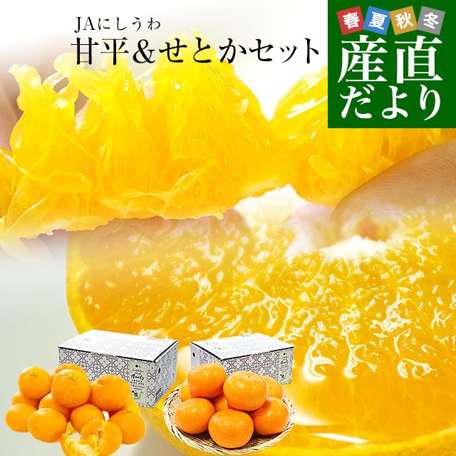 愛媛県産 JAにしうわ 甘平＆せとかセット 良品 ちょっと訳あり 合計5