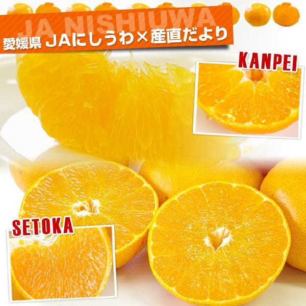 May　甘平2.5kg×せとか5kgセット 数量限定※せとか・甘平 食べ比べセット | みかんの花（旅する久世福e商店）
