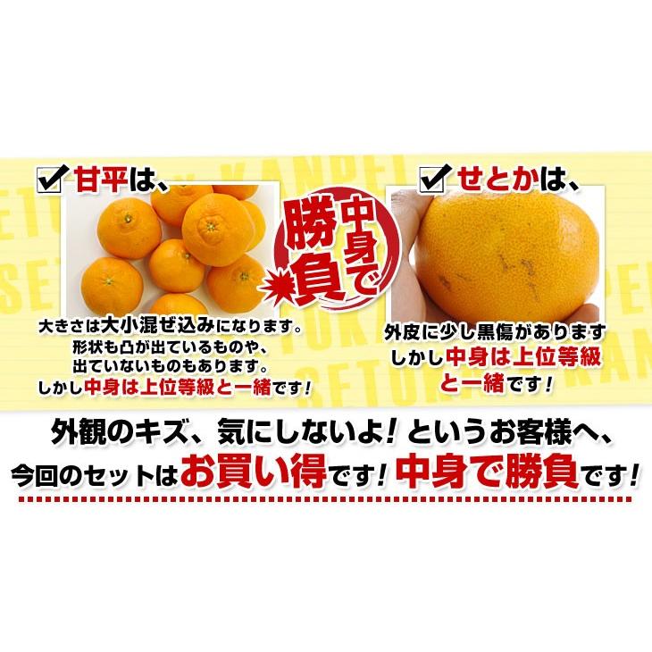 愛媛県産 JAにしうわ 甘平＆せとかセット 良品 ちょっと訳あり 合計5