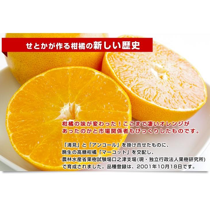 May　甘平2.5kg×せとか5kgセット 愛媛県産 JAにしうわ 甘平＆せとかセット 良品 ちょっと訳あり 合計5
