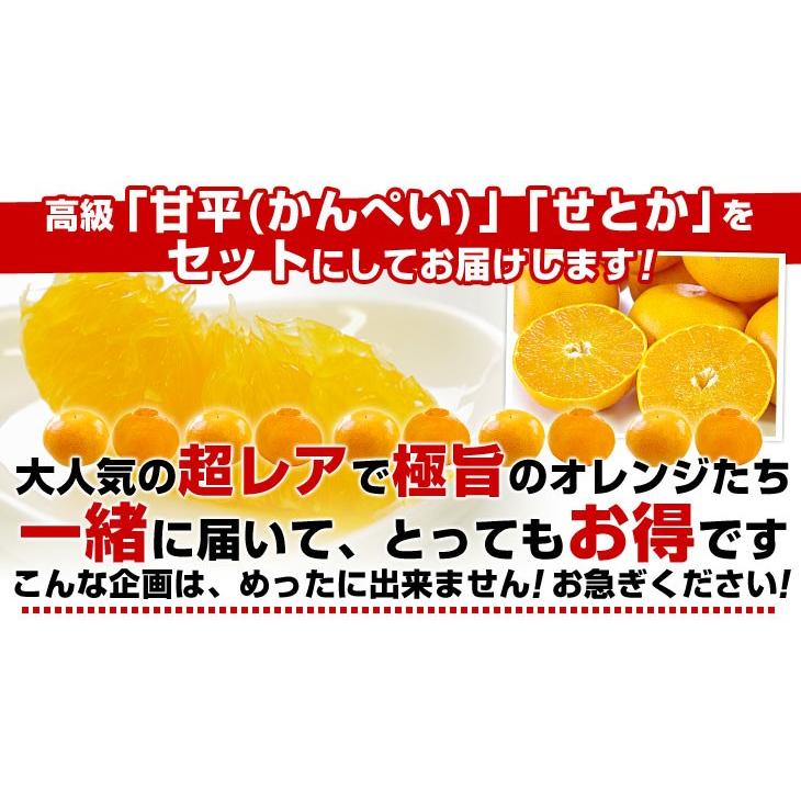 愛媛県産 JAにしうわ 甘平＆せとかセット 良品 ちょっと訳あり 合計5
