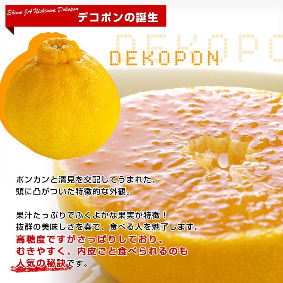 愛媛県 JAにしうわ デコポン 秀品 3LからLサイズ 5キロ（18玉