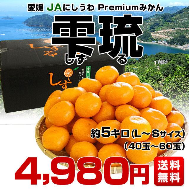 愛媛県産 JAにしうわ 三瓶共撰 プレミアム西宇和みかん しずる(雫琉) LからSサイズ 5キロ(40玉から60玉) 送料無料 蜜柑 ミカン　｜sanchokudayori｜02