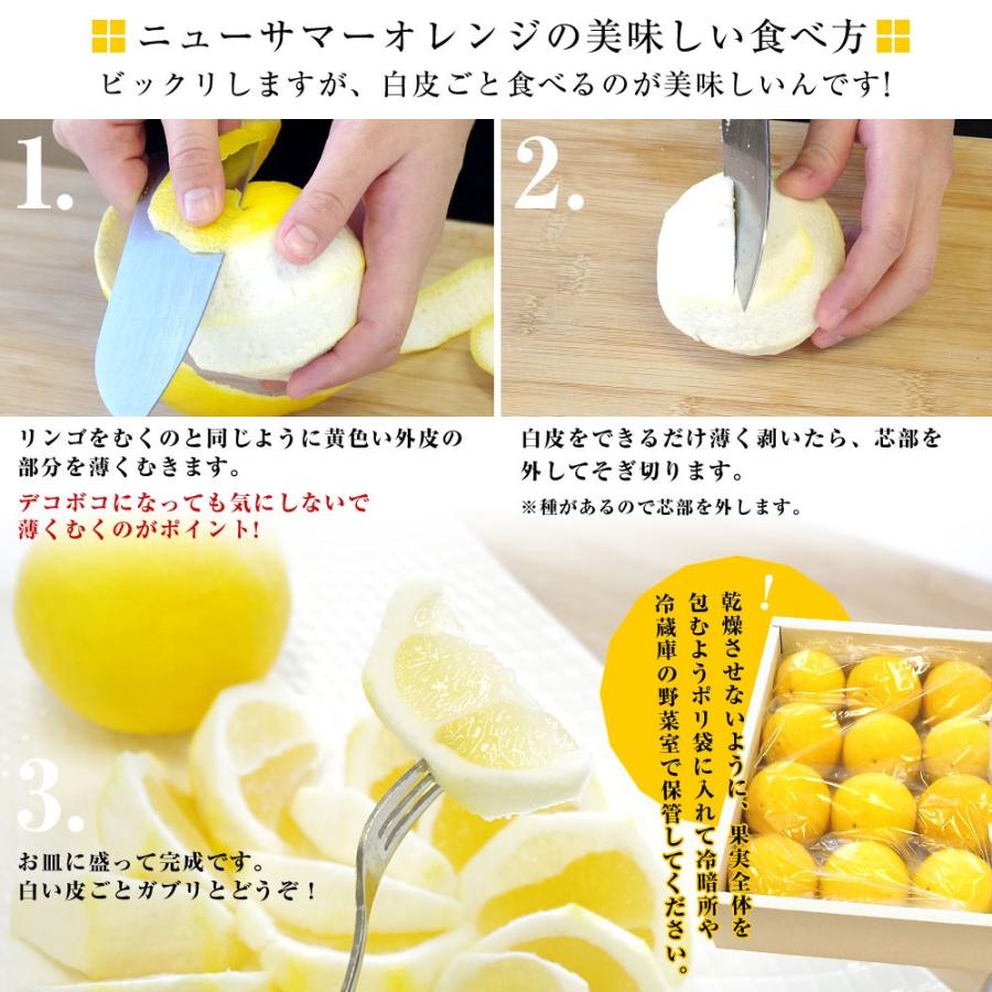 愛媛県より産地直送 JAにしうわ ニューサマーオレンジ ご家庭用 5キロ  