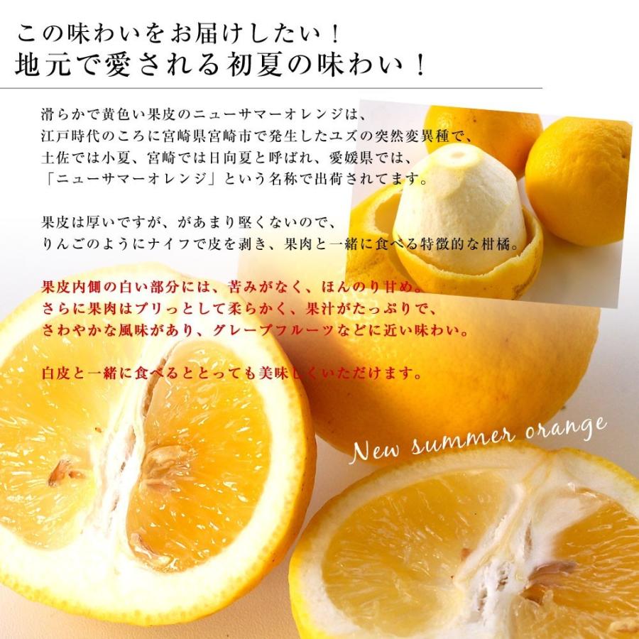 愛媛県より産地直送 JAにしうわ ニューサマーオレンジ 秀品 5 愛媛県より産地直送 JAにしうわ ニューサマーオレンジ 秀品 5