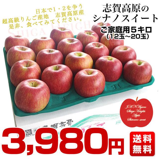 長野県より産地直送　JAながの　志賀高原のシナノスイート ご家庭用　約5キロ　(12玉から20玉)　送料無料 林檎　りんご　リンゴ｜sanchokudayori｜03