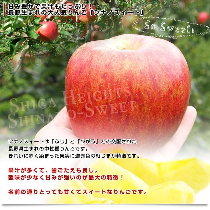 長野県より産地直送　JAながの　志賀高原のシナノスイート ご家庭用　約5キロ　(12玉から20玉)　送料無料 林檎　りんご　リンゴ｜sanchokudayori｜04