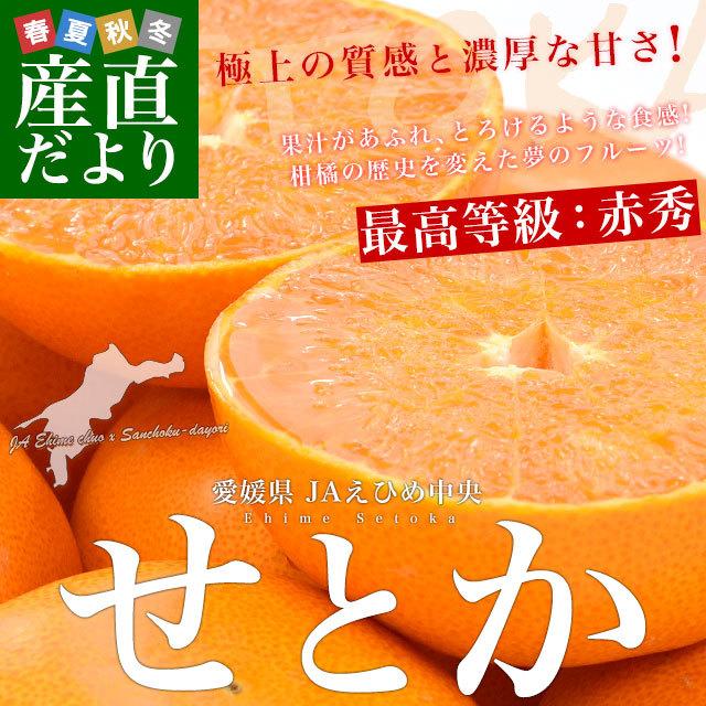 愛媛県より産地直送 Jaえひめ中央 せとか 赤秀 ２lからl 3キロ化粧箱 12玉から15玉入り 送料無料 柑橘 オレンジ 松山 愛媛中央農協 1255132544 産直だより 通販 Yahoo ショッピング