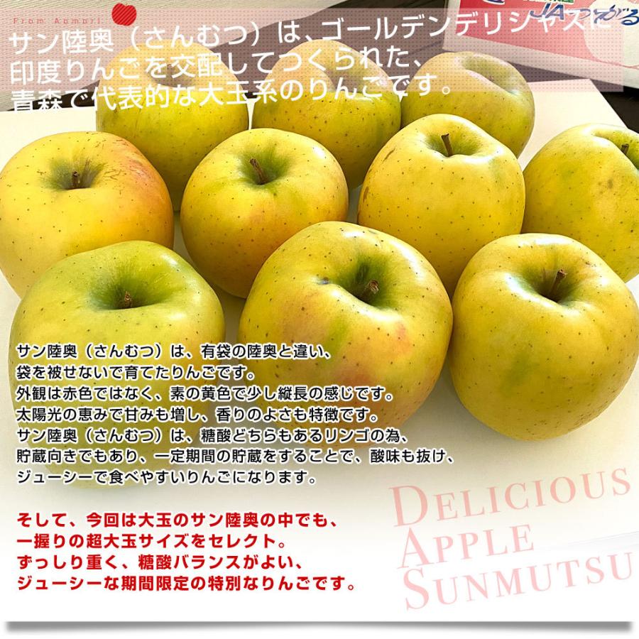 青森県より産地直送 JAつがる弘前 サン陸奥 超大玉 5キロ (9玉から11玉) 送料無料 りんご リンゴ 林檎