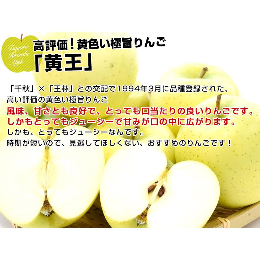 青森県より産地直送 JAつがる弘前 産直りんご 黄王(きおう) 約3キロ (9玉から13玉) 送料無料 林檎 りんご :1257141704z10:産直 だより - 通販 - Yahoo!ショッピング 青森県より産地直送 JAつがる弘前 産直りんご 黄王(きおう) 約3キロ (9玉から13玉) 送料無料 林檎 りんご :1257141704z10:産直 だより - 通販 - Yahoo!ショッピング