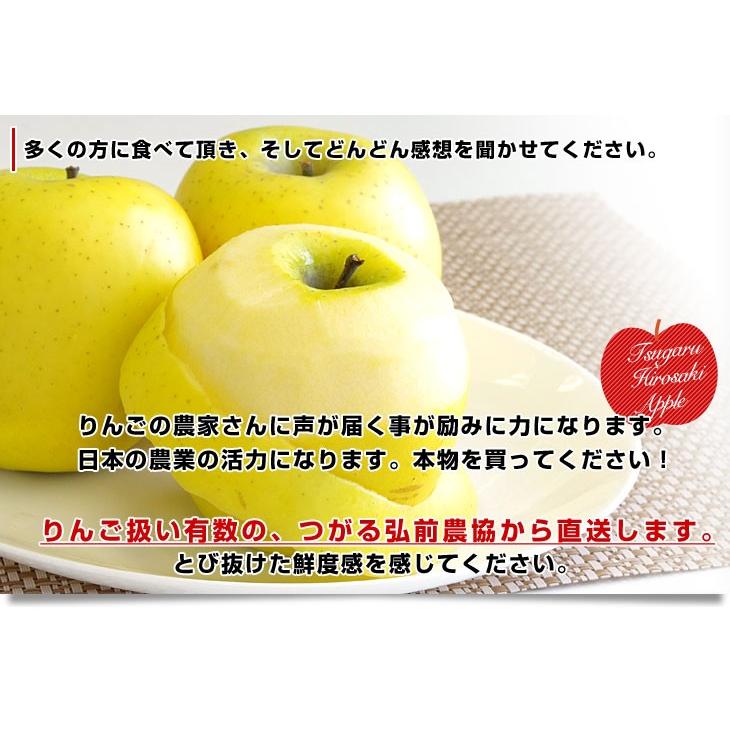 青森県より産地直送 JAつがる弘前 シナノゴールド CA貯蔵品 約3キロ（9玉から13玉）送料無料 りんご しなのごーるど｜sanchokudayori｜08