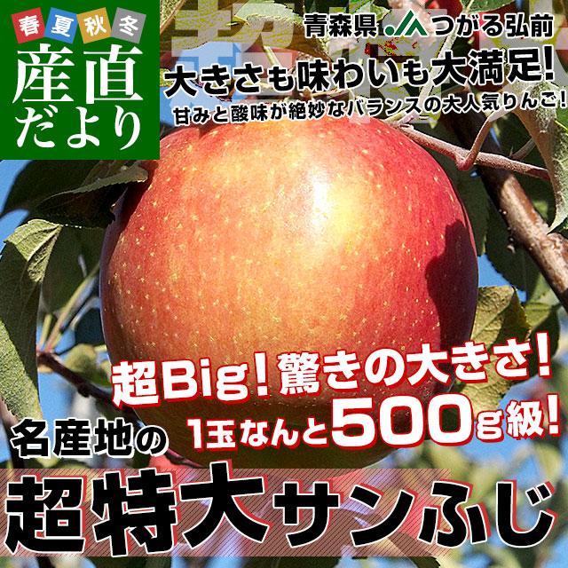 青森県より産地直送 JAつがる弘前 超Big サンふじりんご 超大玉 青森県より産地直送 JAつがる弘前 超Big サンふじりんご 超大玉