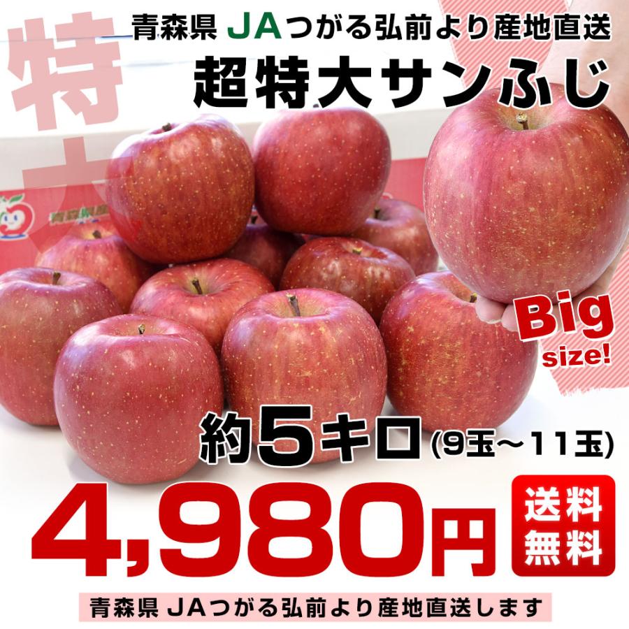 青森県より産地直送 JAつがる弘前 超Big サンふじりんご 超大玉 青森県より産地直送 JAつがる弘前 超Big サンふじりんご 超大玉