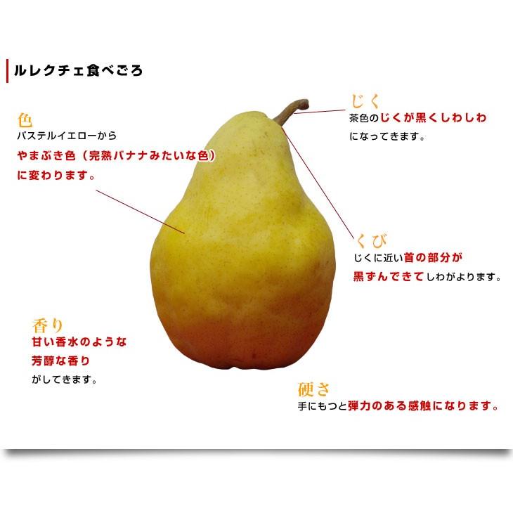 新潟県より産地直送 JAにいがた南蒲 ル レクチェ 秀品 4キロ(8玉から12玉) 洋ナシ 洋梨 ル・レクチェ 冬ギフト 送料無料 御歳暮 お歳暮 ギフト|sanchokudayori|07