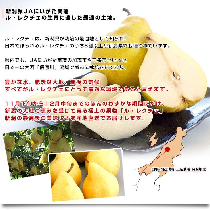新潟県より産地直送 JAにいがた南蒲 ル レクチェ 秀品 2キロ(4玉から7玉) 洋ナシ 洋梨 ル・レクチェ 冬ギフト 送料無料 御歳暮 お歳暮 ギフト|sanchokudayori|05