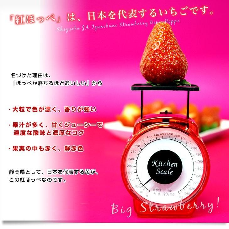 静岡県より産地直送JAふじ伊豆 紅ほっぺ DX 約520g (260g×2P 静岡県より産地直送JAふじ伊豆 紅ほっぺ DX 約520g (260g×2P