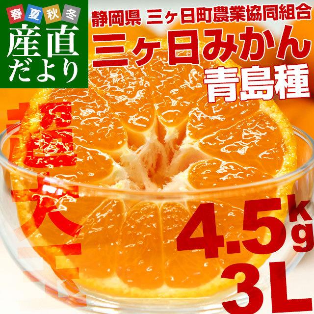 静岡県より産地直送 Jaみっかび 三ケ日みかん 青島種 大玉 3lサイズ 約4 5キロ 送料無料 ミカン 蜜柑 三ヶ日 温州みかん 産直だより 通販 Yahoo ショッピング