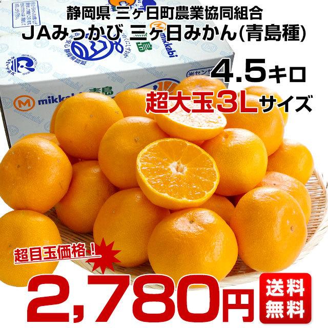 静岡県より産地直送 Jaみっかび 三ケ日みかん 青島種 大玉 3lサイズ 約4 5キロ 送料無料 ミカン 蜜柑 三ヶ日 温州みかん 産直だより 通販 Yahoo ショッピング