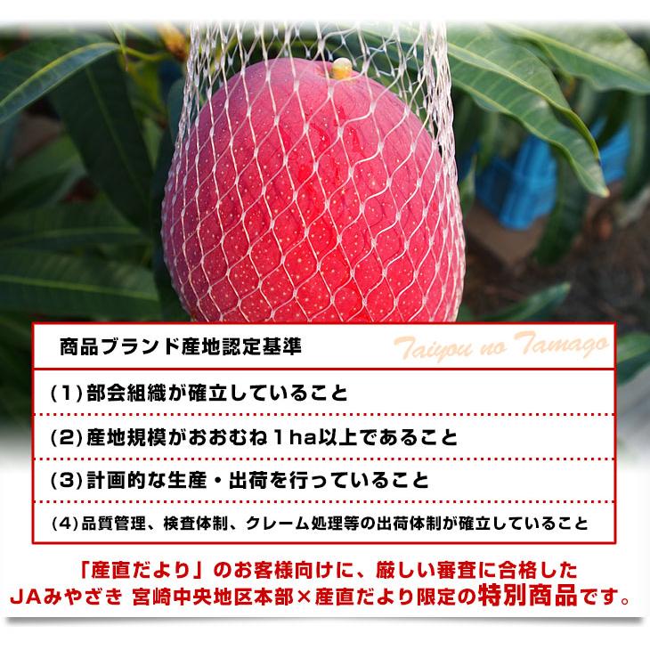 宮崎県より産地直送 JAみやざき 宮崎中央地区本部 完熟マンゴー 宮崎県より産地直送 JAみやざき 宮崎中央地区本部 完熟マンゴー