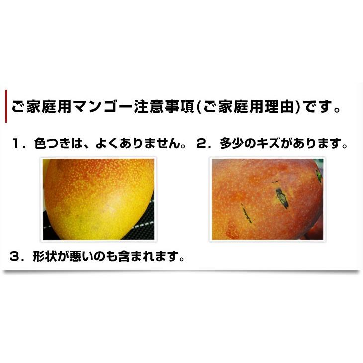 宮崎県より産地直送 JAみやざき宮崎中央地区本部 訳あり宮崎