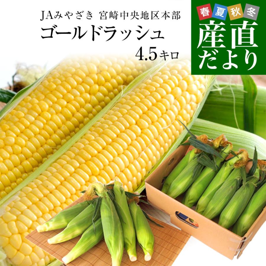 宮崎県より産地直送 JAみやざき宮崎中央地区本部 とうもろこし (ゴールドラッシュ) 2LからＬサイズ 4.5キロ (13本から15本) 送料無料  ※クール便 from九州 爆買（Yahoo!・産直だより）