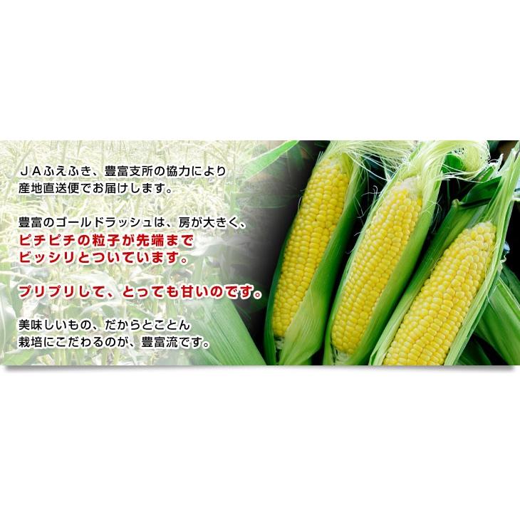 山梨県より産地直送 JAふえふき 豊富支所 とうもろこし (ゴールド