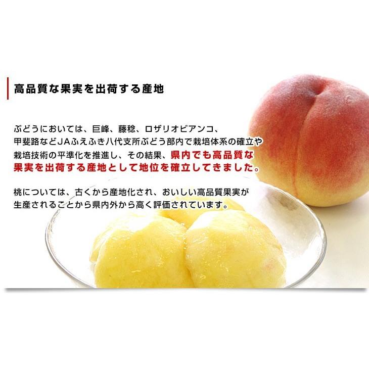 山梨県より産地直送 JAふえふき八代支所 八代の桃 超特選 一桃匠