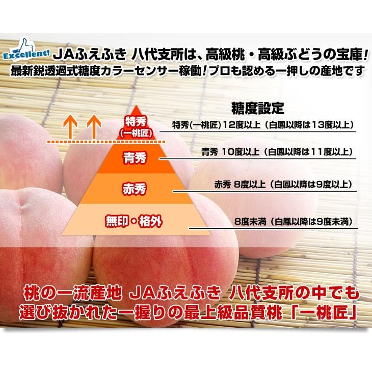 山梨県より産地直送 JAふえふき八代支所 八代の特秀桃 一桃匠