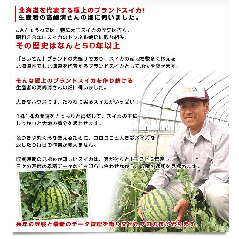北海道より産地直送 JAきょうわ らいでんスイカ 超特大 秀品5Lサイズ