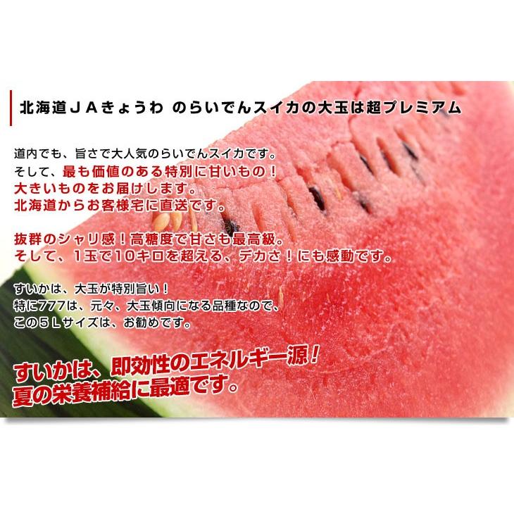 北海道より産地直送 JAきょうわ らいでんスイカ 超特大 優品5Lサイズ