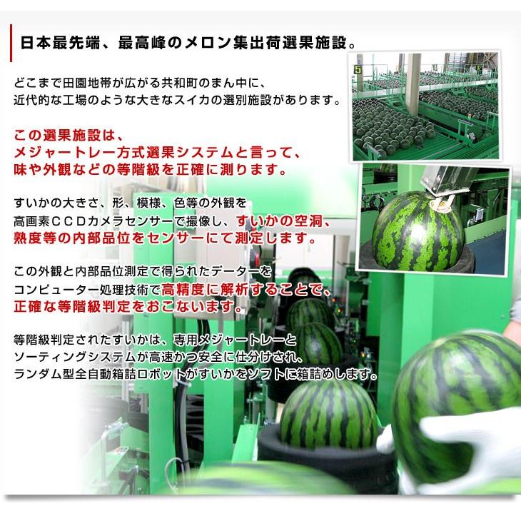 北海道より産地直送 JAきょうわ らいでんスイカ 超特大 優品5Lサイズ