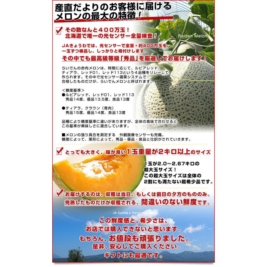 定番スタイル 超特大 北海道らいでんメロン 赤肉 品種:ルピアレッド秀