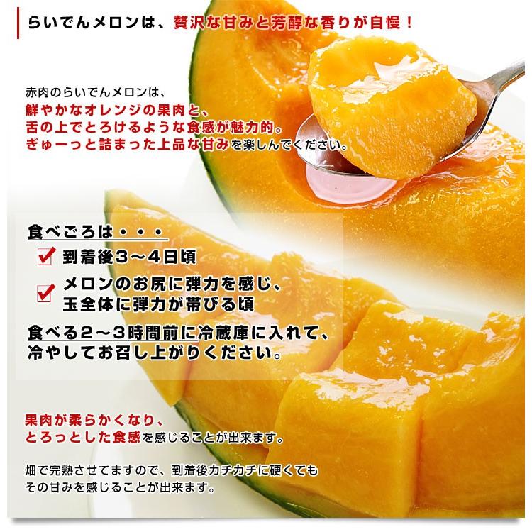 専用クール 4玉 らいでんメロン 「品種：ルピアレッド」秀品 8キロ 北海道より産地直送 JAきょうわ らいでんメロン 赤肉 秀品