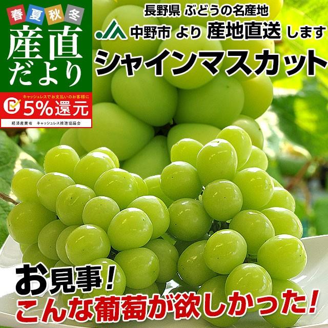 送料無料 長野県より産地直送 Ja中野市 シャインマスカット 合計1 2キロ 2房から3房入り ぶどう 葡萄 C1 産直だより 通販 Yahoo ショッピング