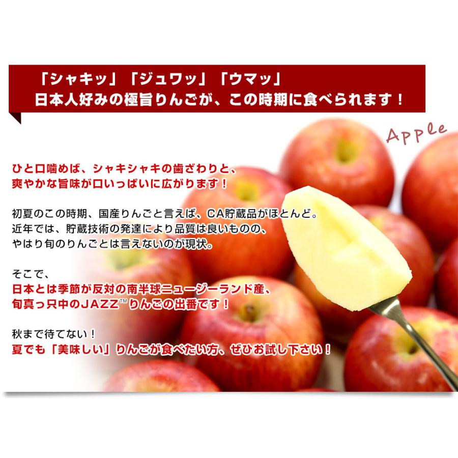 ニュージーランド産 JAZZりんご(品種:サイフレッシュ)約2キロ(9