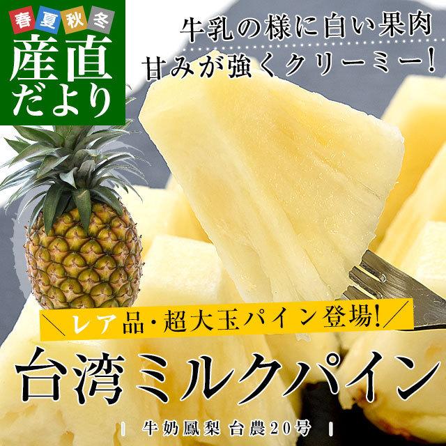 独創的 台湾産 ミルクパイン 10キロ 5玉から6玉 送料無料 クール便 パイン パイナップル パインアップル 台湾パイン
