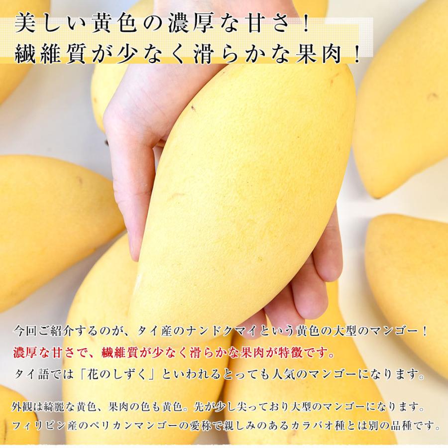 【タイ産最高級】マンゴー 10玉 ナムドクマイ ナンドクマイ910 タイ産 ゴールデンマンゴー 約4.5kg 大玉10個/12個入り