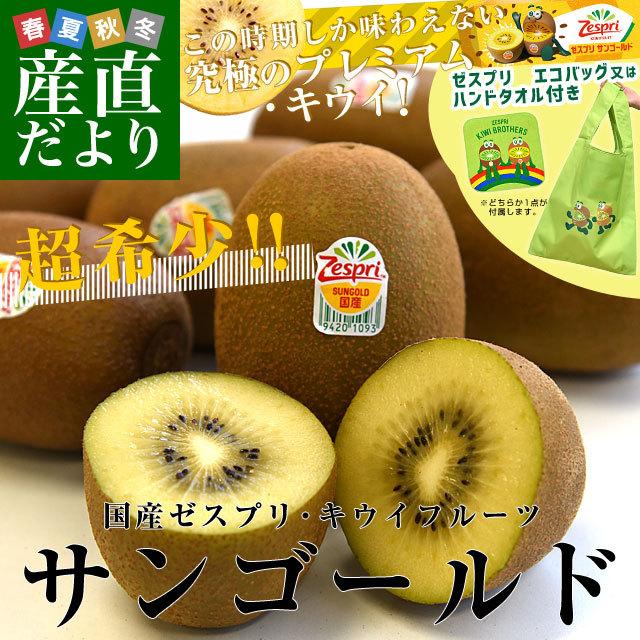 国産 ゼスプリ サンゴールドキウイ 約3キロ ゼスプリ エコバッグ又はハンドタオル付き 送料無料 キウイフルーツ 産直だより 通販 Yahoo ショッピング