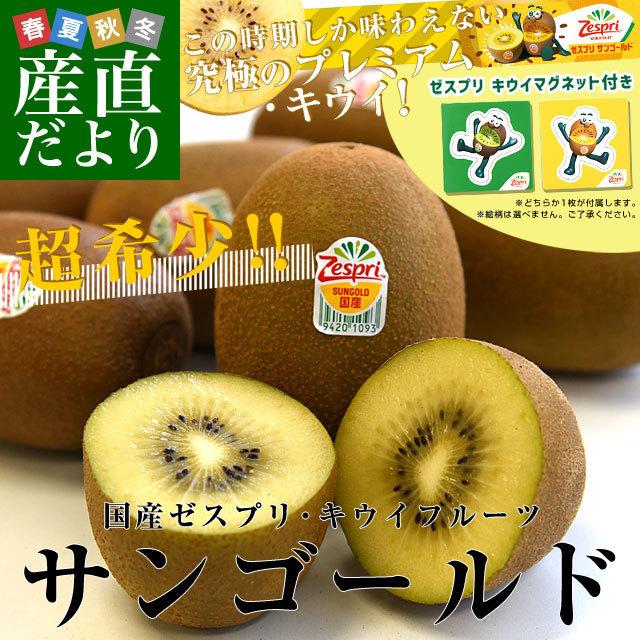 国産 ゼスプリ サンゴールドキウイ約1 8キロ 合計14玉から玉 ゼスプリ キウイマグネット付き 送料無料 キウイフルーツ 産直だより 通販 Yahoo ショッピング