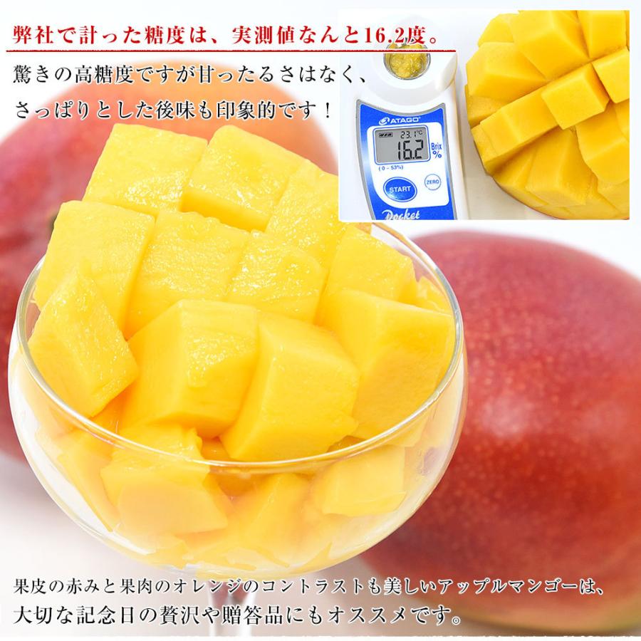 卓越 次回入荷未定4L超特大 1点限定 超お得セット最高級プレミアム