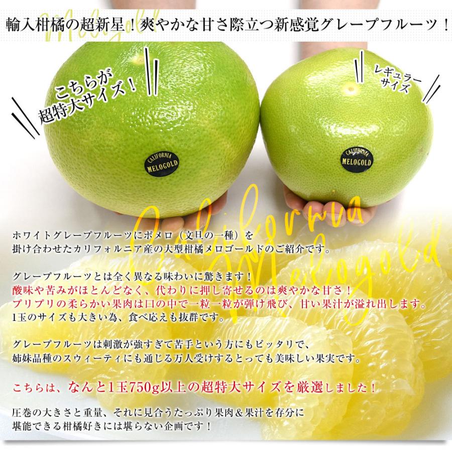 カリフォルニア産　メロゴールド　10〜16玉　約7キロ 楽天市場】【カリフォルニア産】メロゴールド 約7キロ 大玉10玉