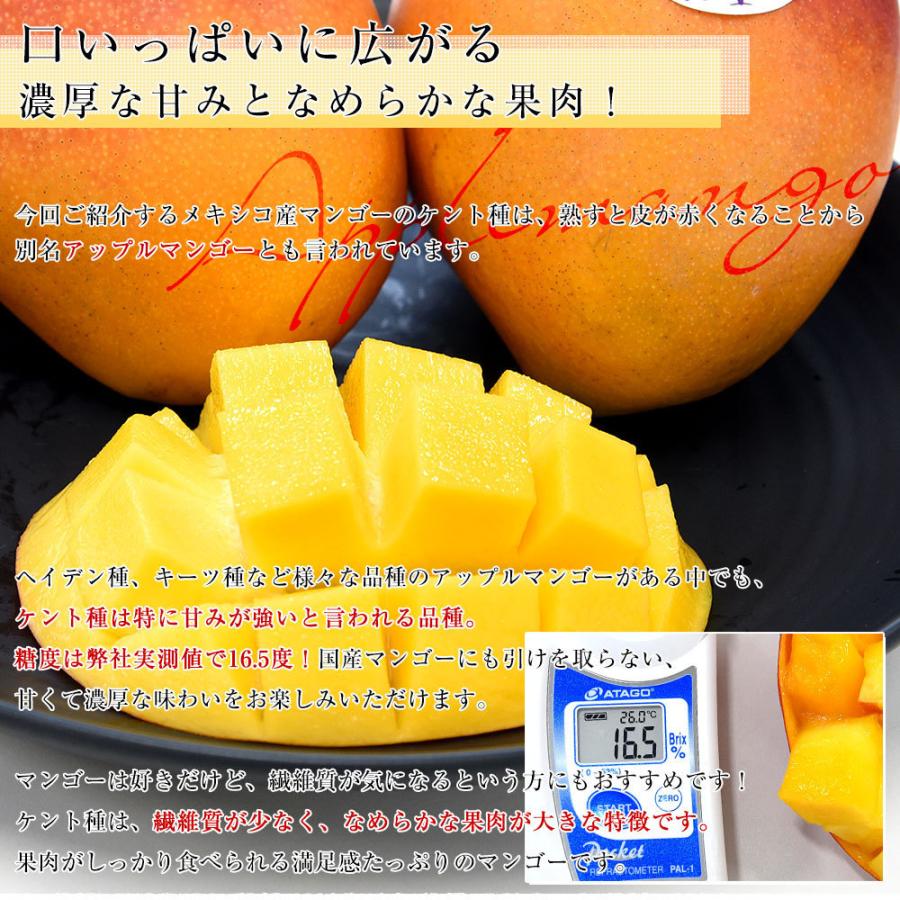 メキシコ産 マンゴーケント種 約5 2キロ原体箱 12玉入り 送料無料 クール便 まんごー アップルマンゴー 市場スポット 産直だより 通販 Yahoo ショッピング