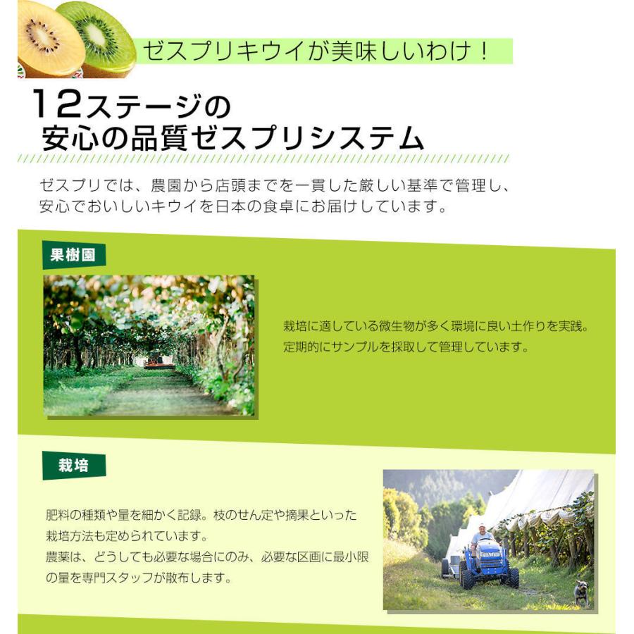 特別価格①お得セット1点のみ　高級採れたて　新鮮生ブルーベリー　数量限定特別出品 ニュージーランド産 ゼスプリグリーン＆サンゴールドキウイ